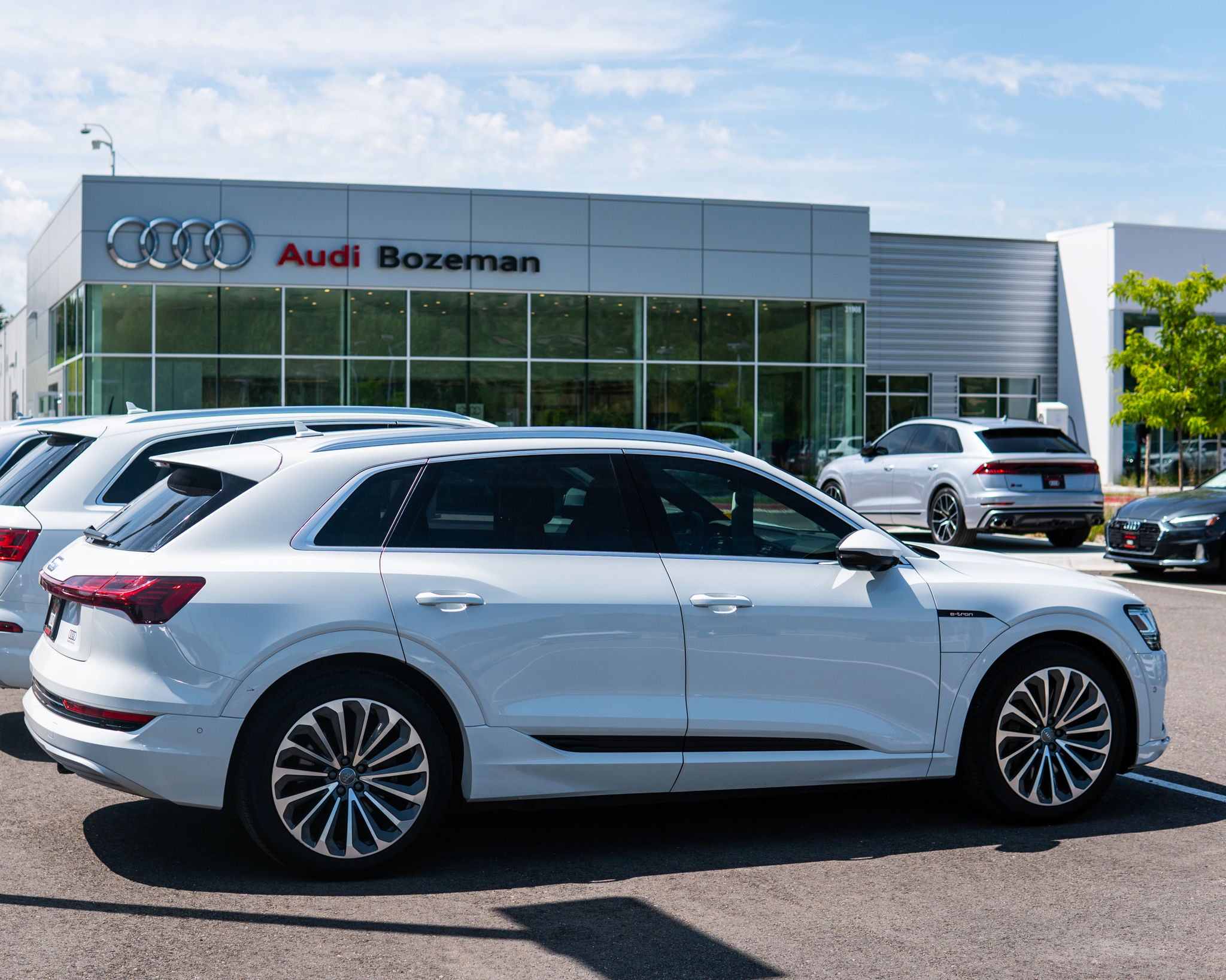 Audi Q3, Q5, Q8 on lot for sale